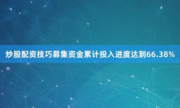 炒股配资技巧募集资金累计投入进度达到66.38%