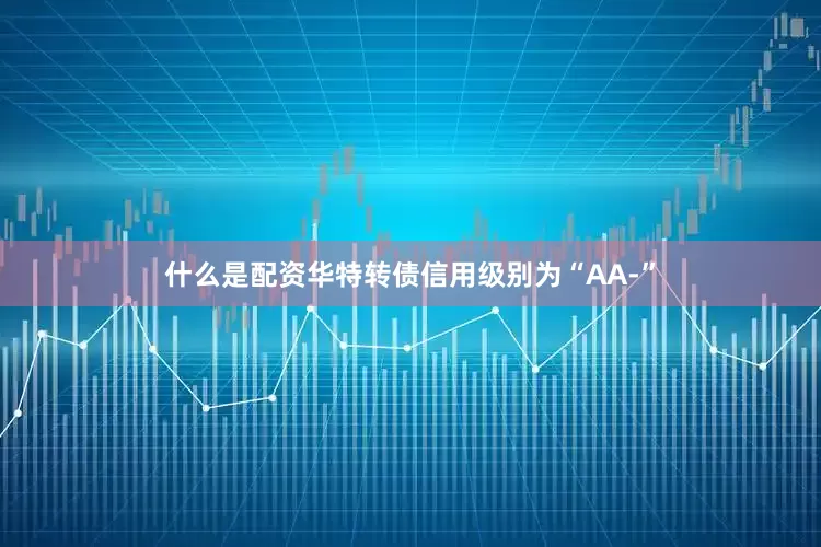 什么是配资华特转债信用级别为“AA-”