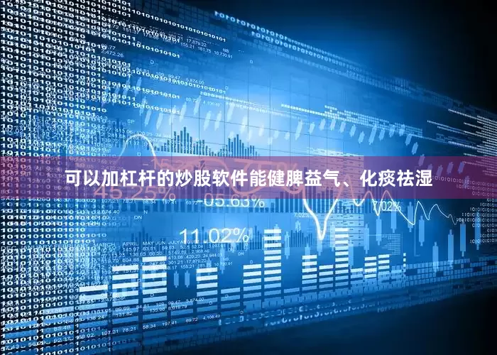 可以加杠杆的炒股软件能健脾益气、化痰祛湿