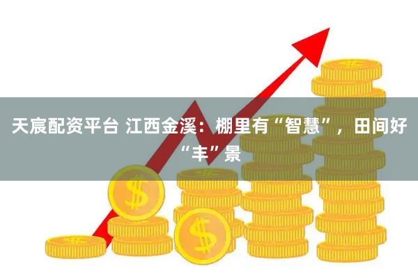 天宸配资平台 江西金溪：棚里有“智慧”，田间好“丰”景