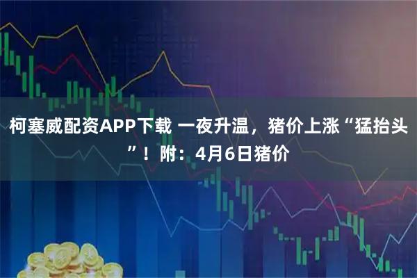 柯塞威配资APP下载 一夜升温，猪价上涨“猛抬头”！附：4月6日猪价